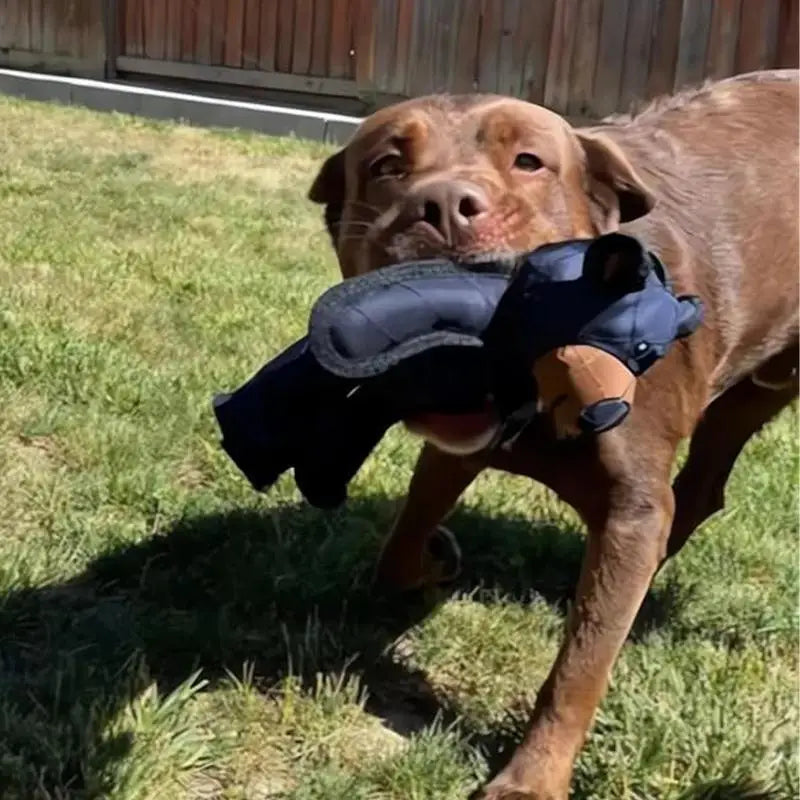 Unbreakable Bear Toy for Dogs Chewer Indestructible Plush Dog Squeaking Sound Toy Durable Tough Heavy-Duty Chew Dog Toys
