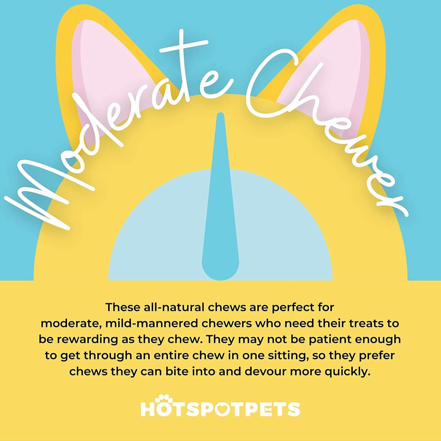 Hotspot Pets Beef Tendon Chews for Dogs - 6 Inch All Natural, Free-Range, Grass-Fed Premium Backstrap Tendon Dog Chews Treats