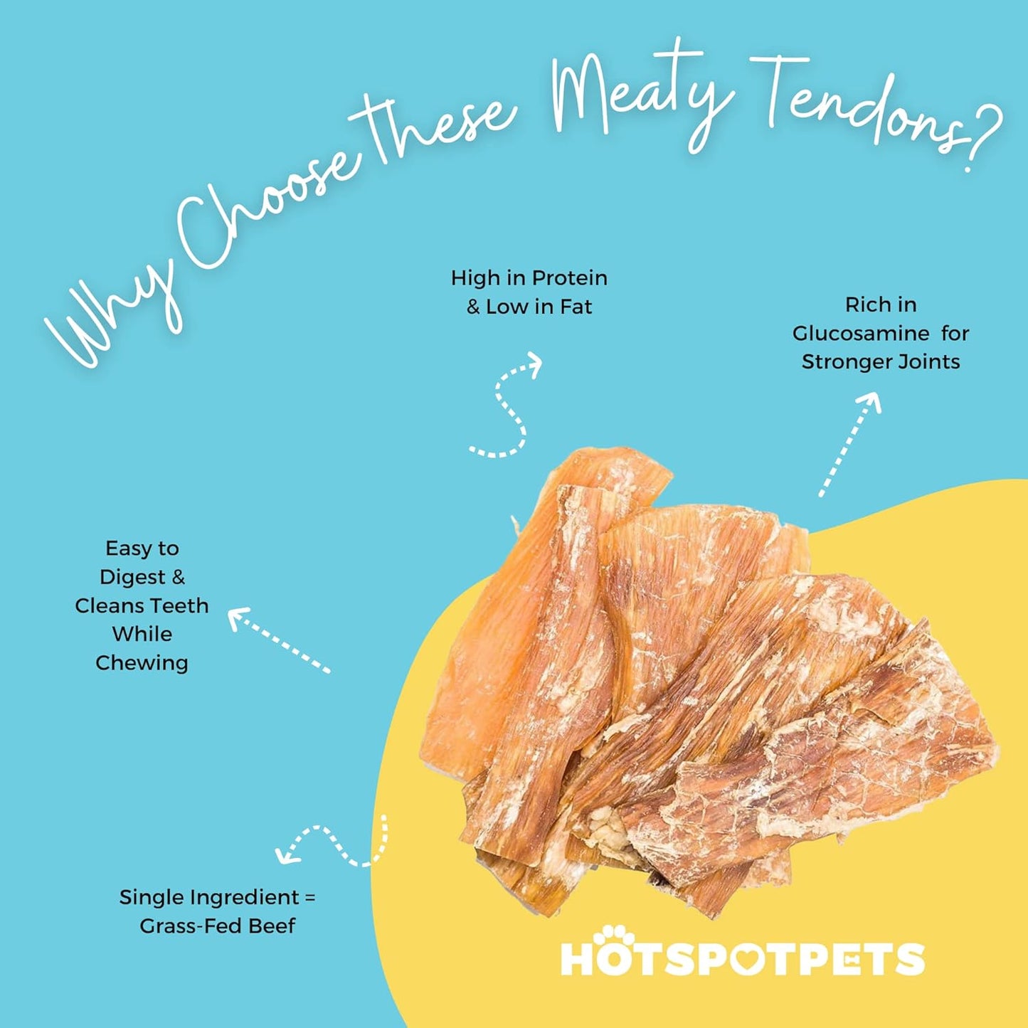Hotspot Pets Beef Tendon Chews for Dogs - 6 Inch All Natural, Free-Range, Grass-Fed Premium Backstrap Tendon Dog Chews Treats