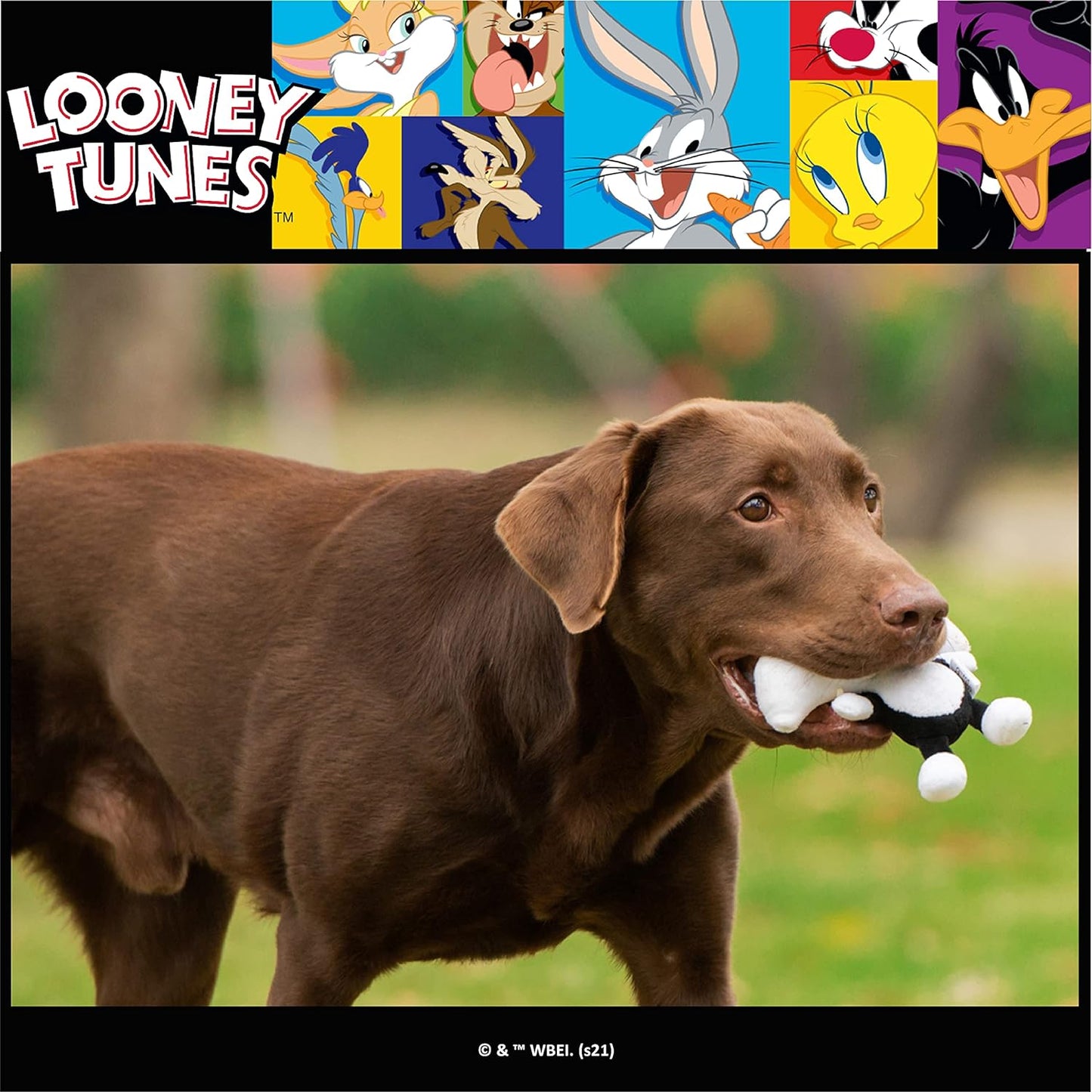 Looney Tunes for Pets Sylvester the Cat Big Head Plush Dog Toy