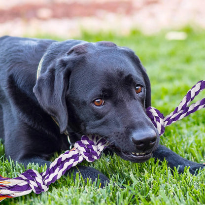 Large Tough Chew Toys, 9-Piece Indestructible Cotton Puppy Teething Tug Set for Aggressive Chewers