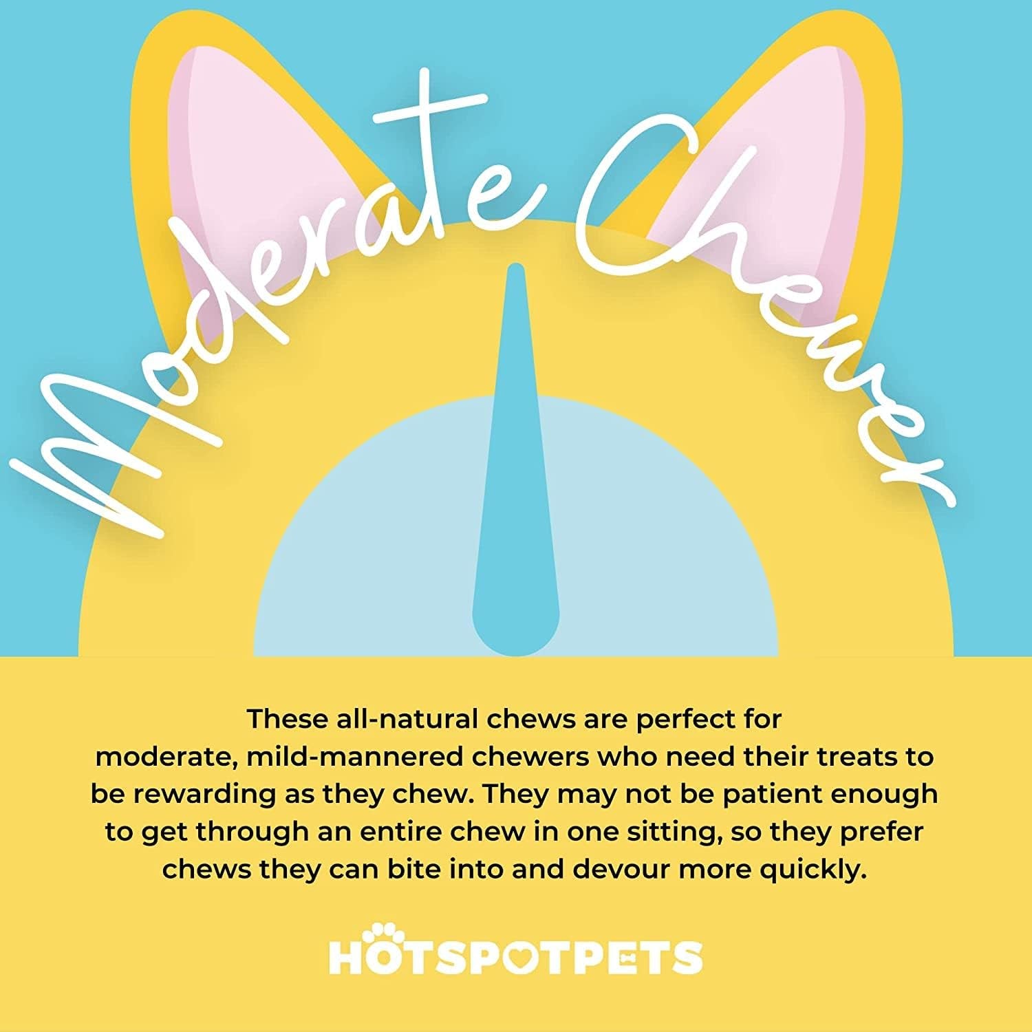 Hotspot Pets Beef Tendon Chews for Dogs - 6 Inch All Natural, Free-Range, Grass-Fed Premium Backstrap Tendon Dog Chews Treats