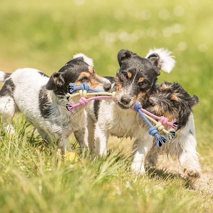 Teething Puppy Chew Toys with Interactive Tug Options and Storage Basket