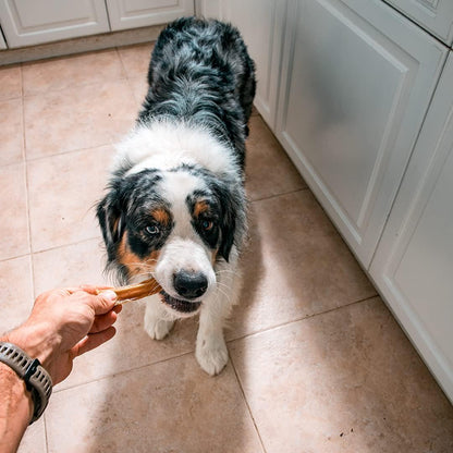 Mon Ami Braided Bully Sticks for Large and Small Dogs (11-12 Inches, Pack of 8) - Made from Grass Fed Beef Dog Treats - Natural Bully Sticks - Grain Free & High Protein Dog Snack