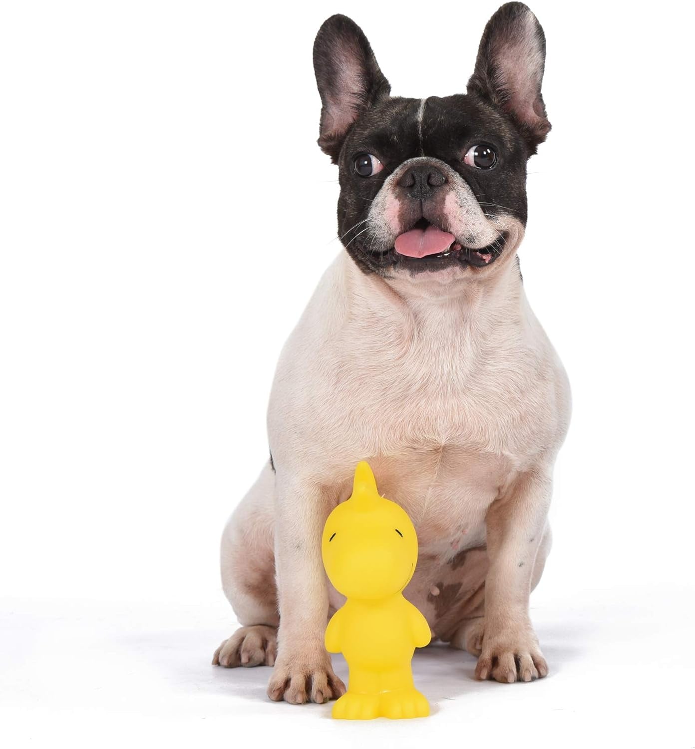 Peanuts for Pets Charlie Brown Woodstock Vinyl Squeaker Dog Toy - Fun and Cute Vynil Toys for Aggressive Chewers - Officially Licensed, 5.5 Inch