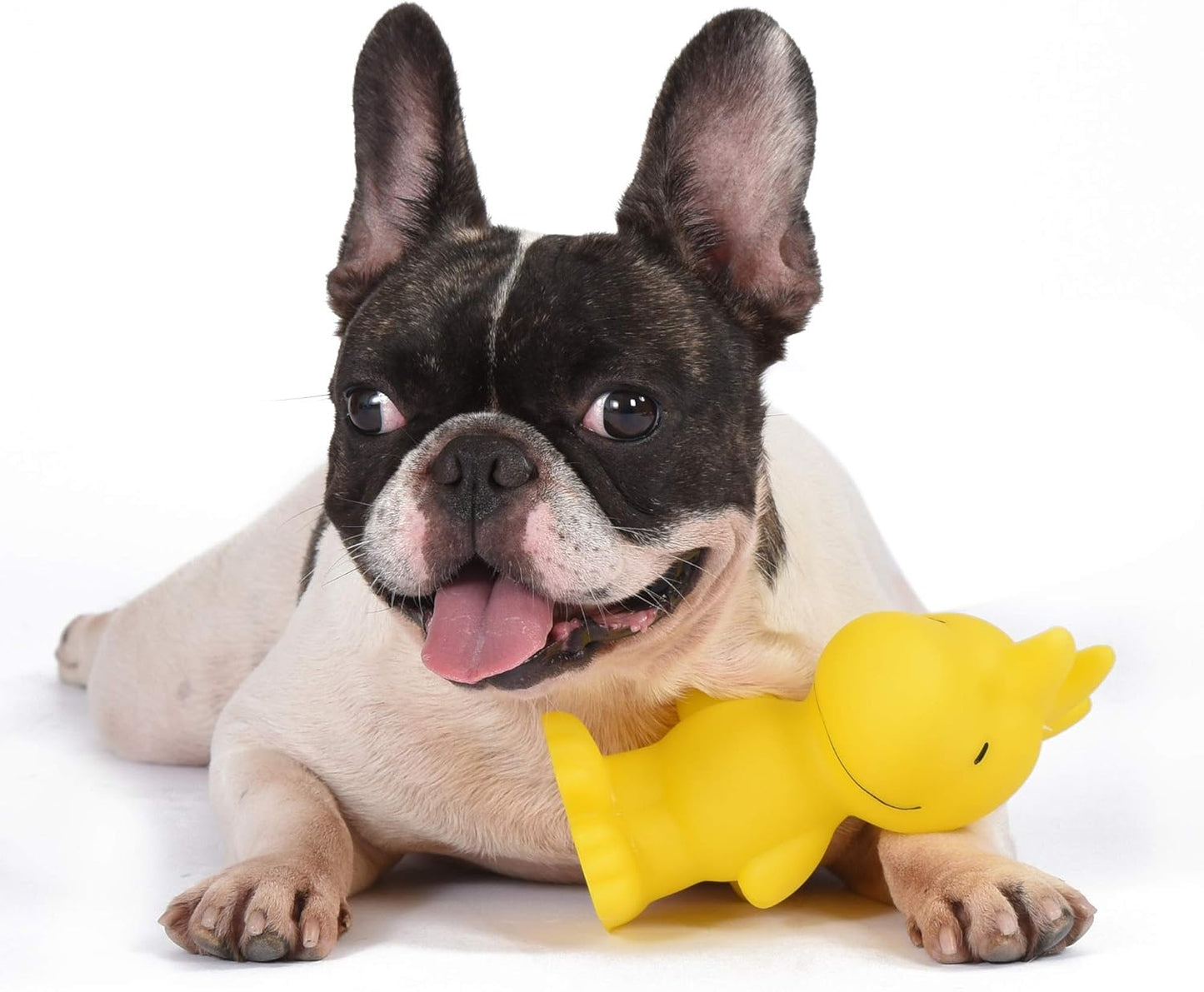 Peanuts for Pets Charlie Brown Woodstock Vinyl Squeaker Dog Toy - Fun and Cute Vynil Toys for Aggressive Chewers - Officially Licensed, 5.5 Inch