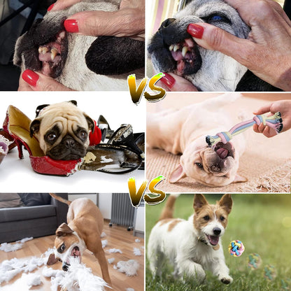 Teething Puppy Chew Toys with Interactive Tug Options and Storage Basket